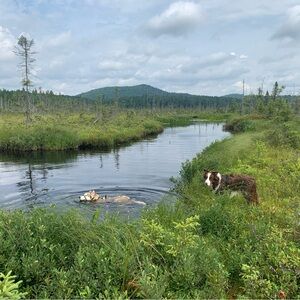 Meet your Posher, Audrey